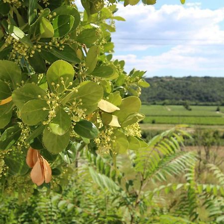 Vila Flora Secovlje Ngoại thất bức ảnh