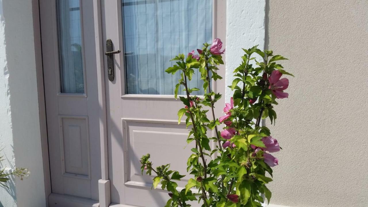 Vila Flora Secovlje Ngoại thất bức ảnh