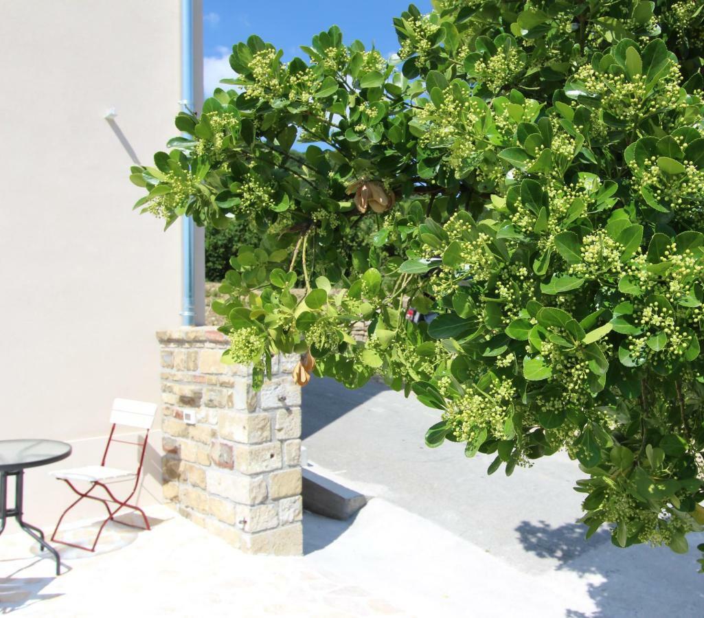 Vila Flora Secovlje Ngoại thất bức ảnh
